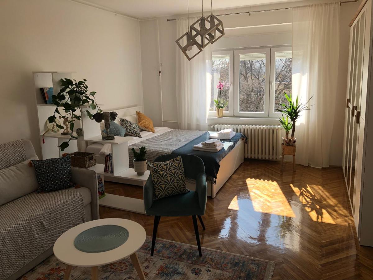 Casa Lusi Apartment Novi Sad Bagian luar foto